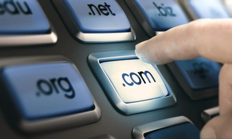 ما هو الدومين